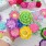 Set of Flowers
