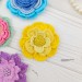 Patterns of Crochet Flowers, 10 types
