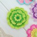 Patterns of Crochet Flowers, 10 types