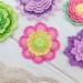Patterns of Crochet Flowers, 10 types