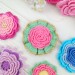 Patterns of Crochet Flowers, 10 types